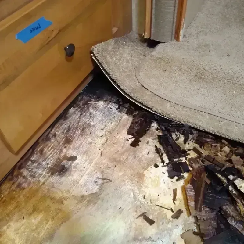 Wood Floor Water Damage in Philadelphia, NY